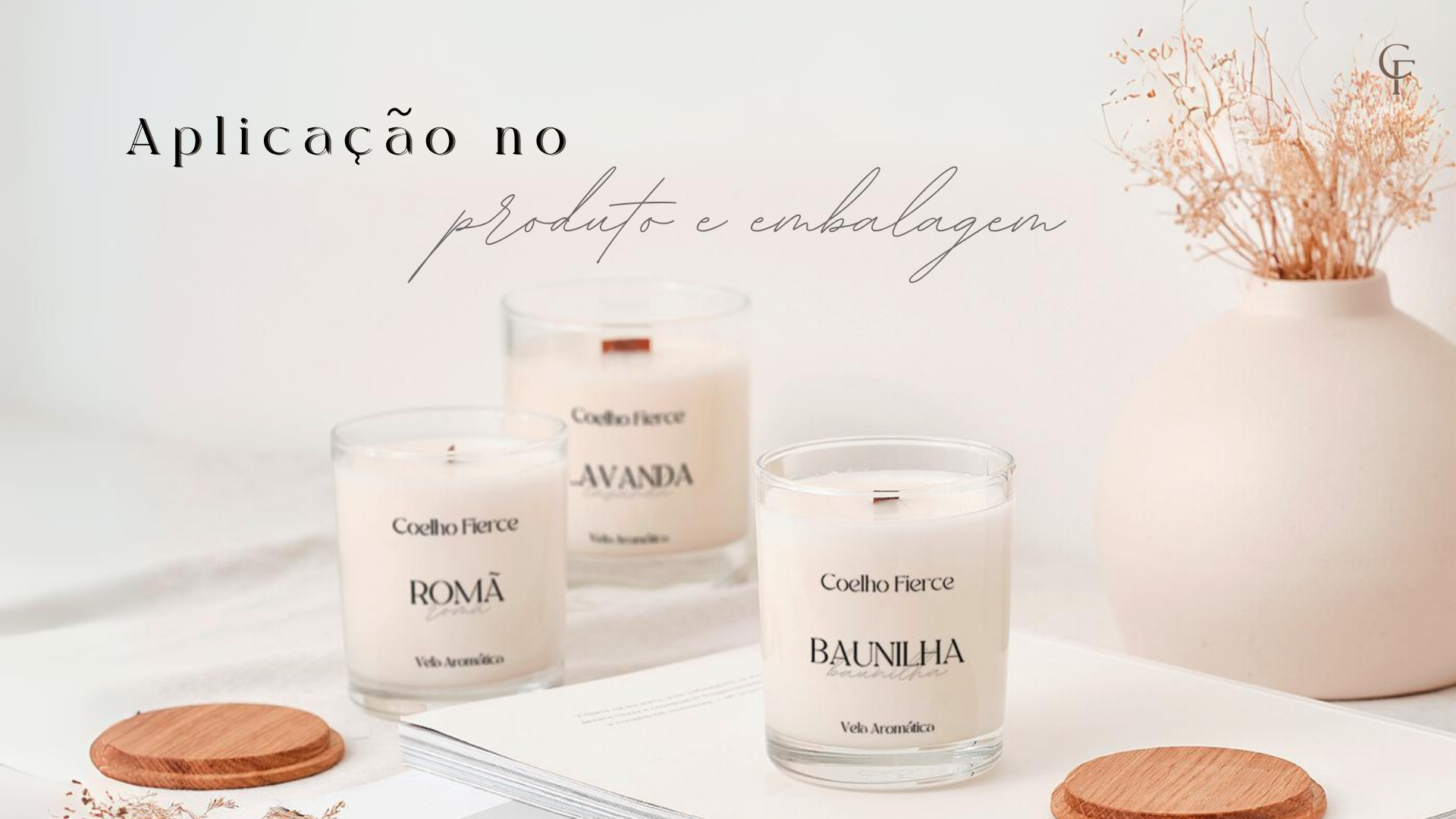 Coelho Fierce · Identidade visual 13
