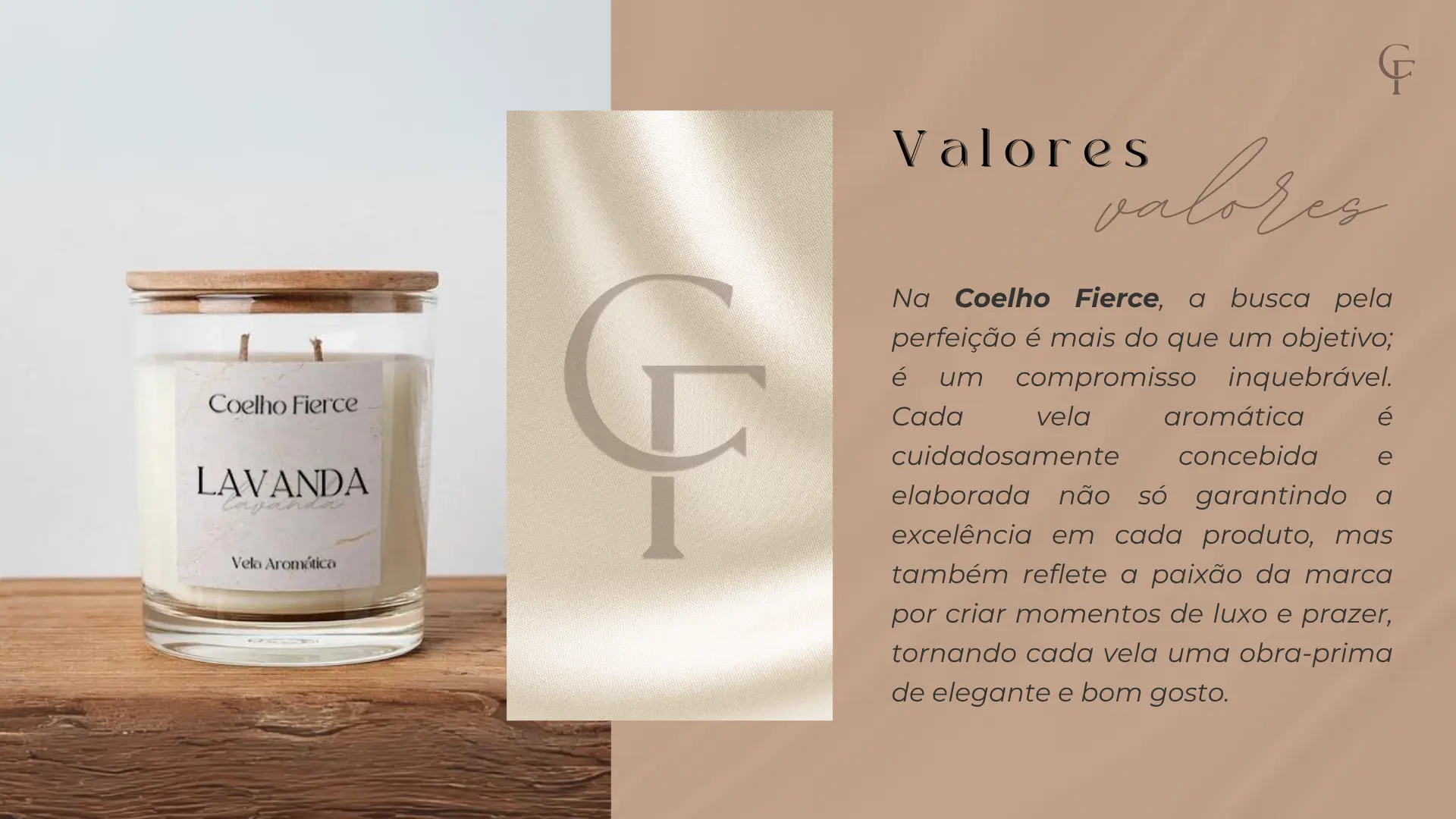 Coelho Fierce · Identidade visual 06
