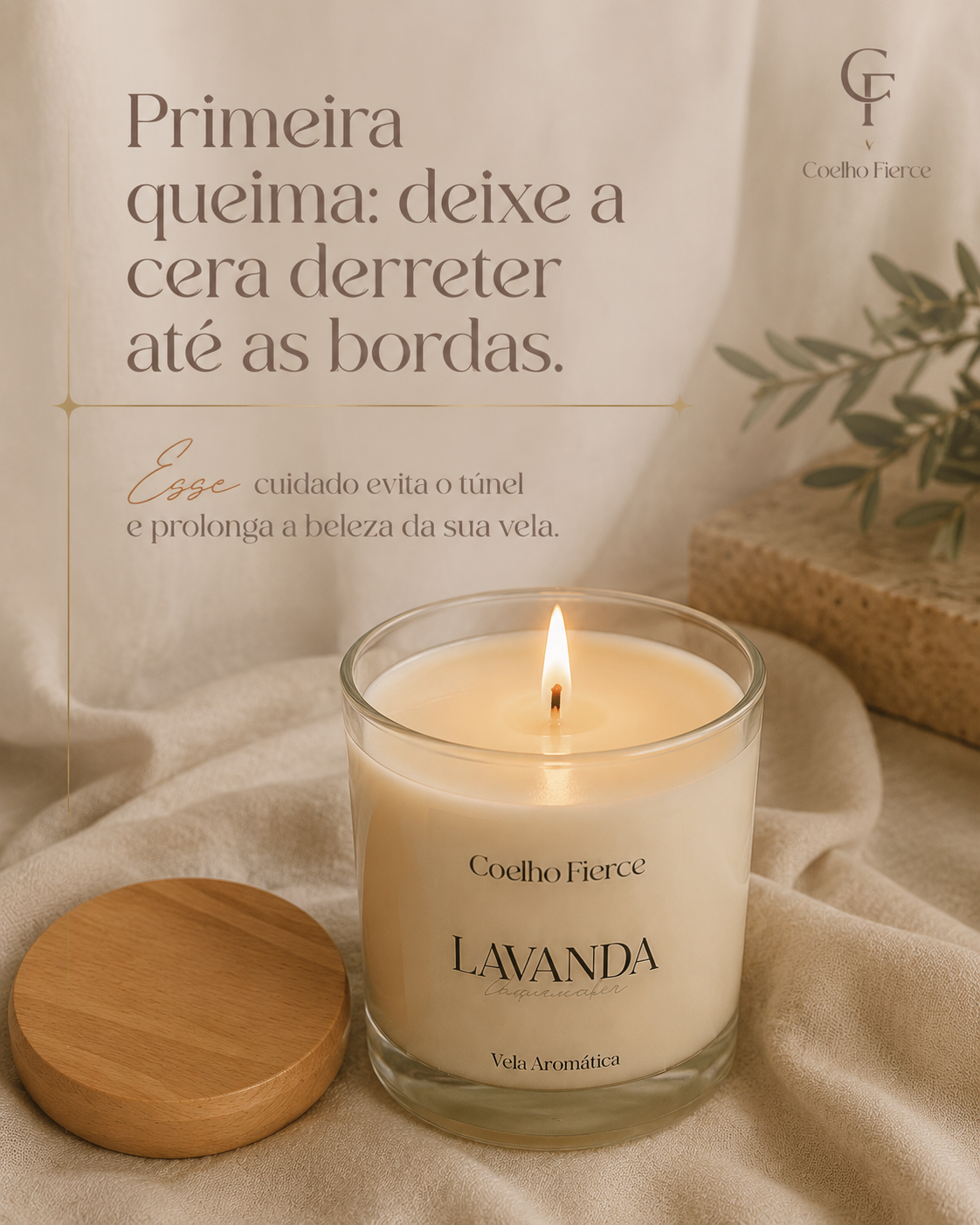 Coelho Fierce · Design de post 06