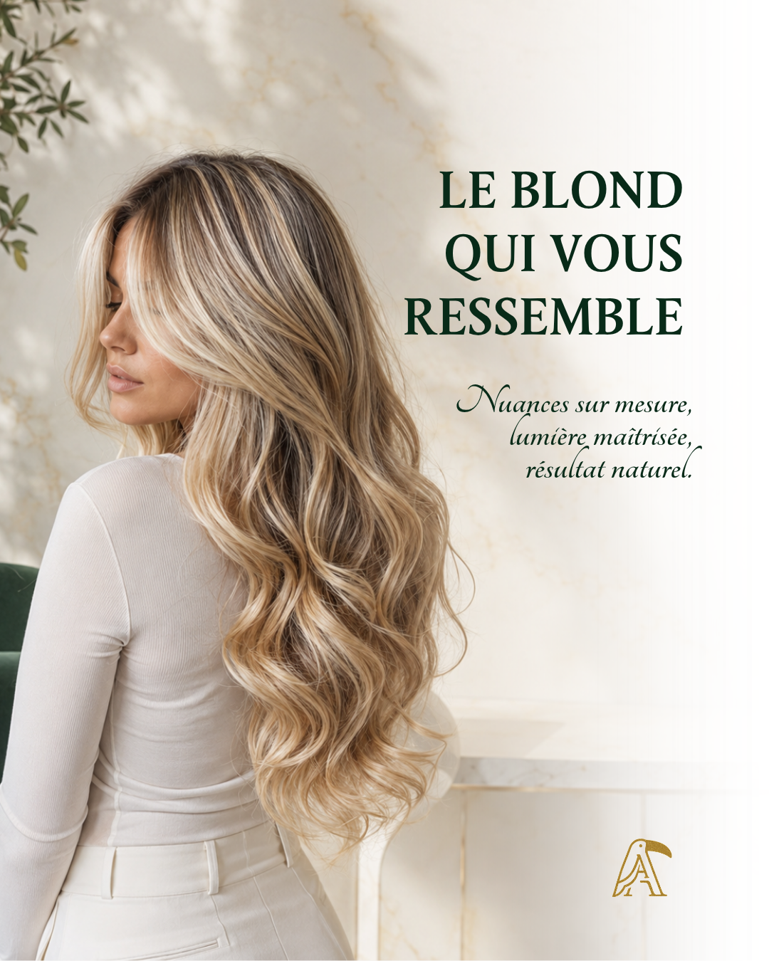 Almodi · Design de post 08