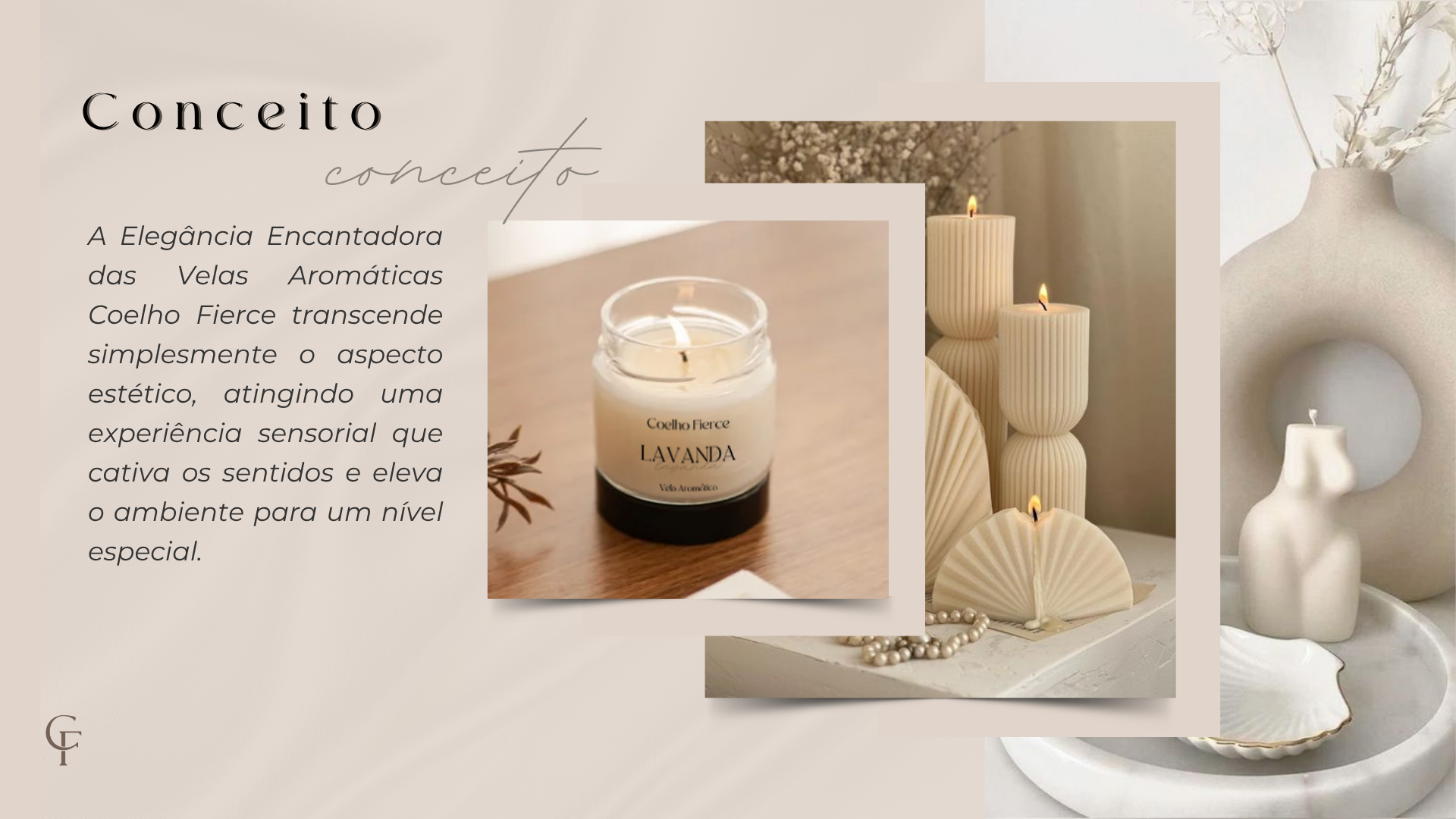 Coelho Fierce · Identidade visual 05