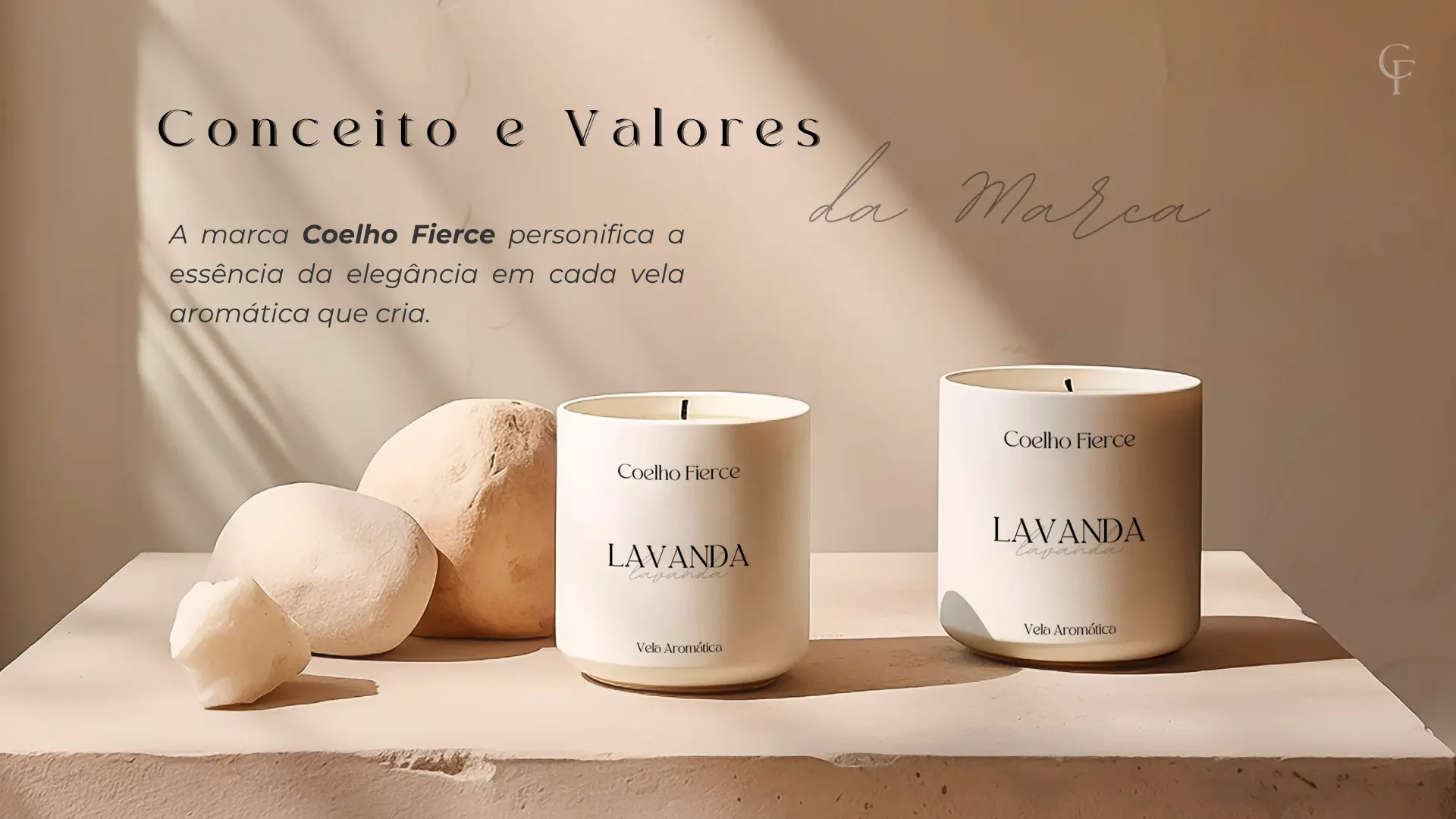 Coelho Fierce · Identidade visual 04