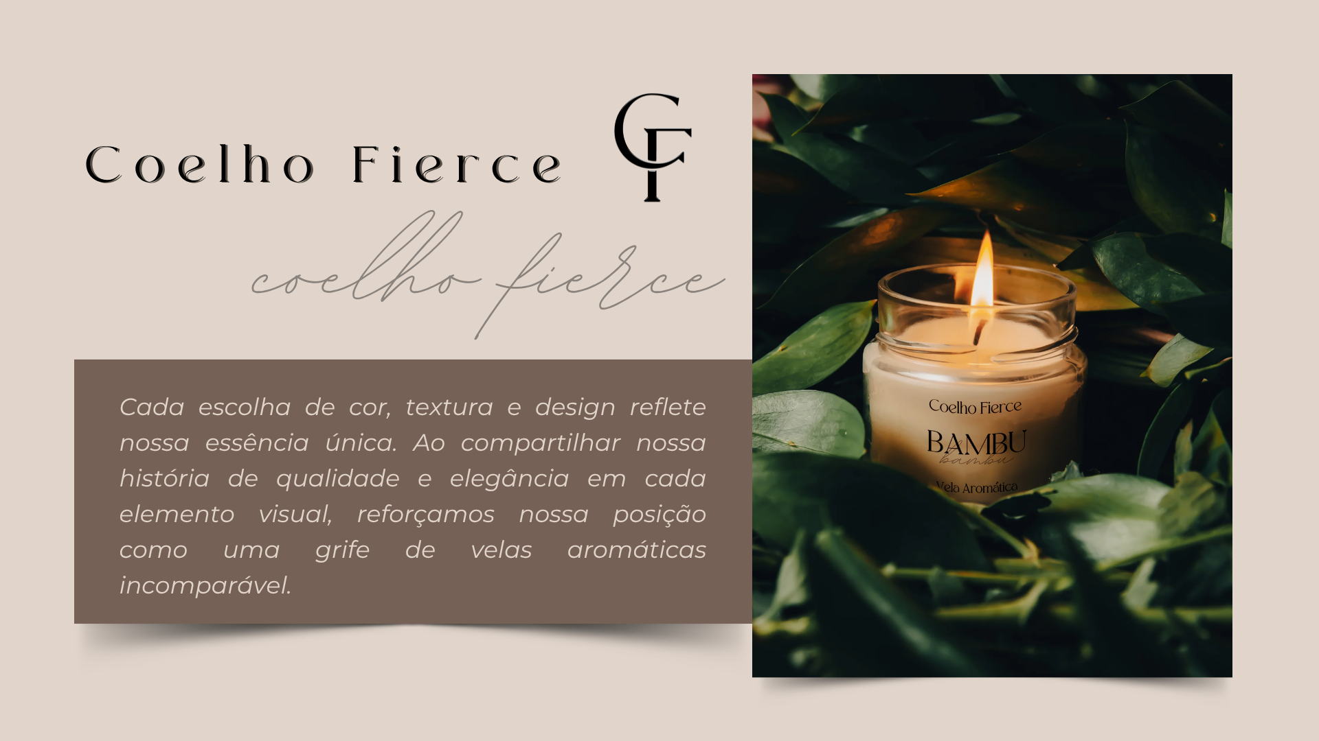 Coelho Fierce · Identidade visual 15
