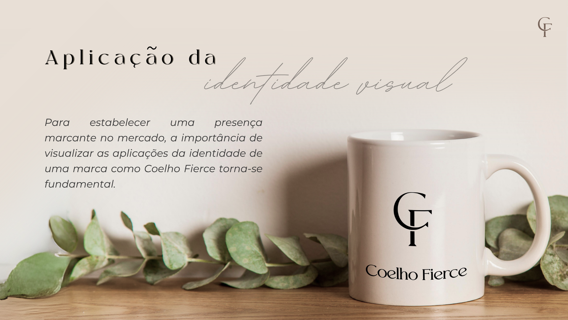 Coelho Fierce · Identidade visual 11