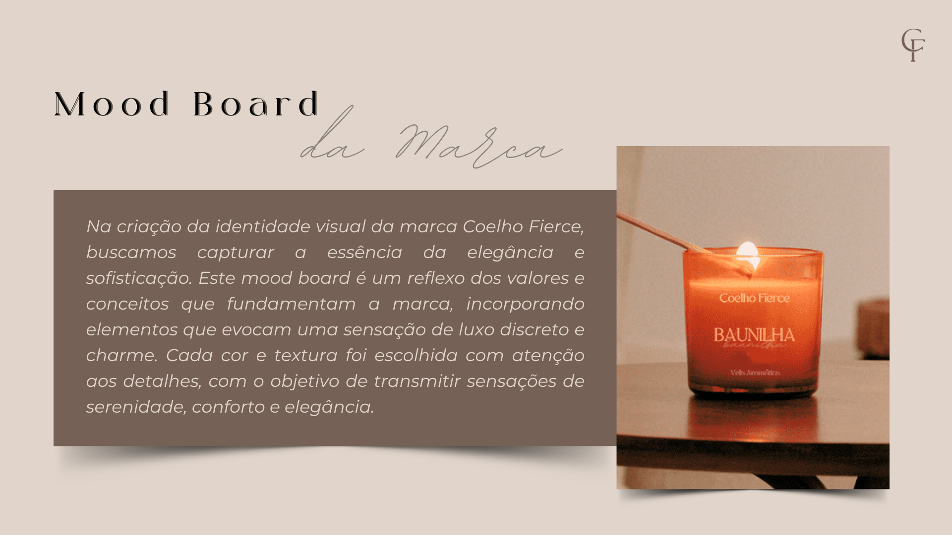 Coelho Fierce · Identidade visual 07
