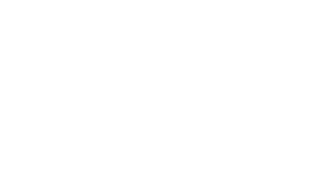 Tortoise Studio.Co